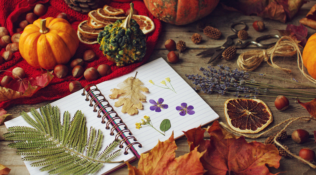 Kreative Bastelideen für den Herbst – gemütliche DIY-Ideen für die ganze Familie