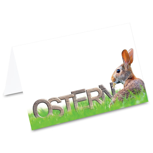 tischkarte "osterhase feld, hase auf feld und aufdruck "ostern" auf vorderseite